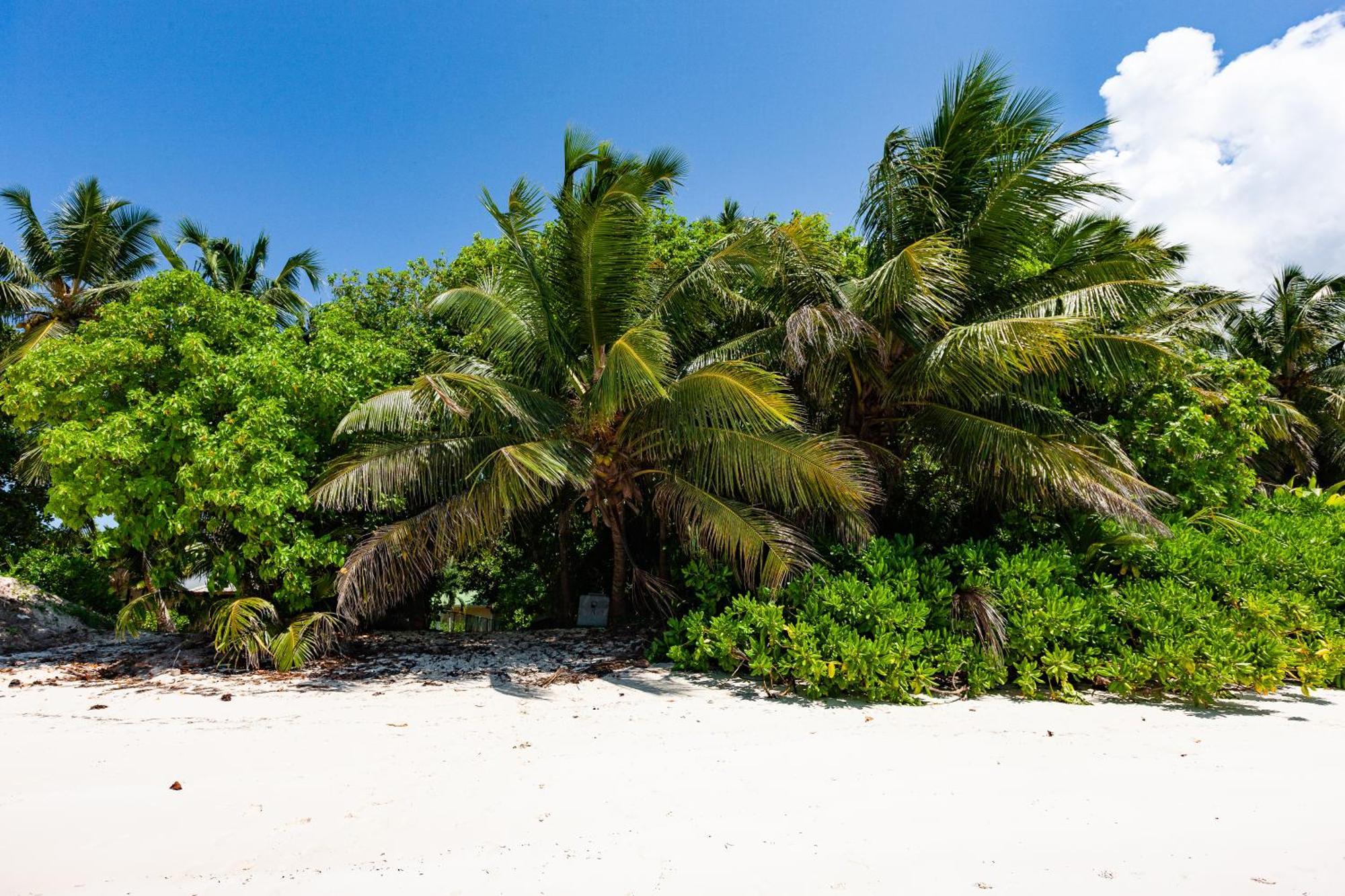 Bijoutier Apartments Grand Anse (Praslin) Exterior foto